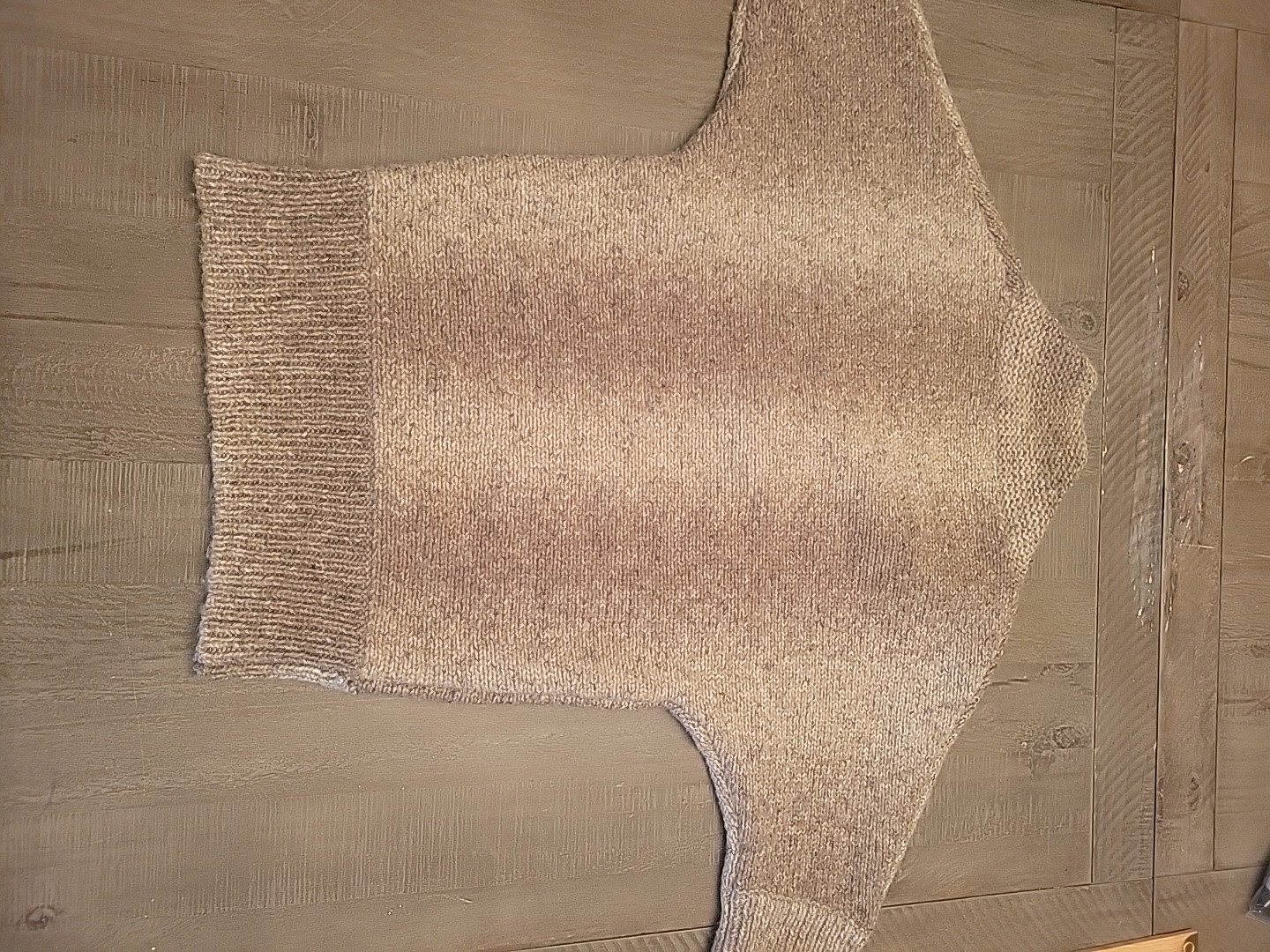 The Limited Sweater Shirt Brown Short Sleeve Crop Collar Soft Y2K Nwt
