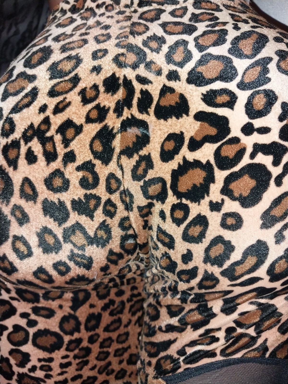 VTG 80S CAT PANTS OPAQUE INSERTS SHEER SPANDEX SKINNY LEG SCARCE S M L NOS