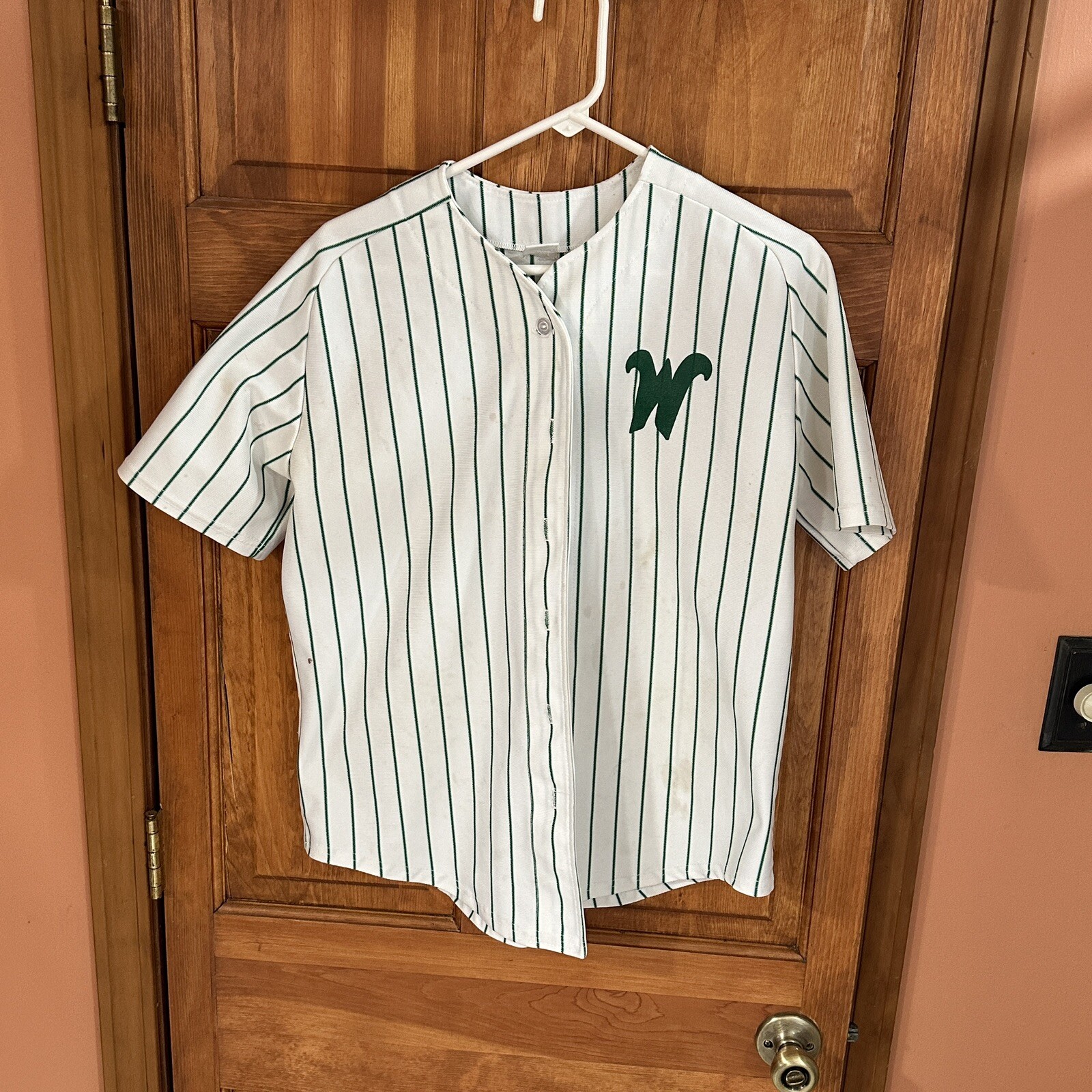 Vintage Delong Ladies Large Pinstriped Softball Jersey Short Sleeve Shirt # 00