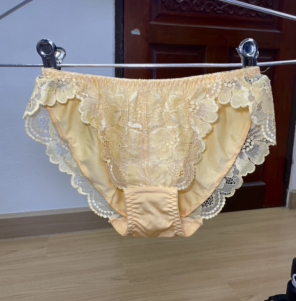 Vintage Sheer Lace Panty Silky Nylon Full Coverage Briefs Polyester Bikini Sz.5