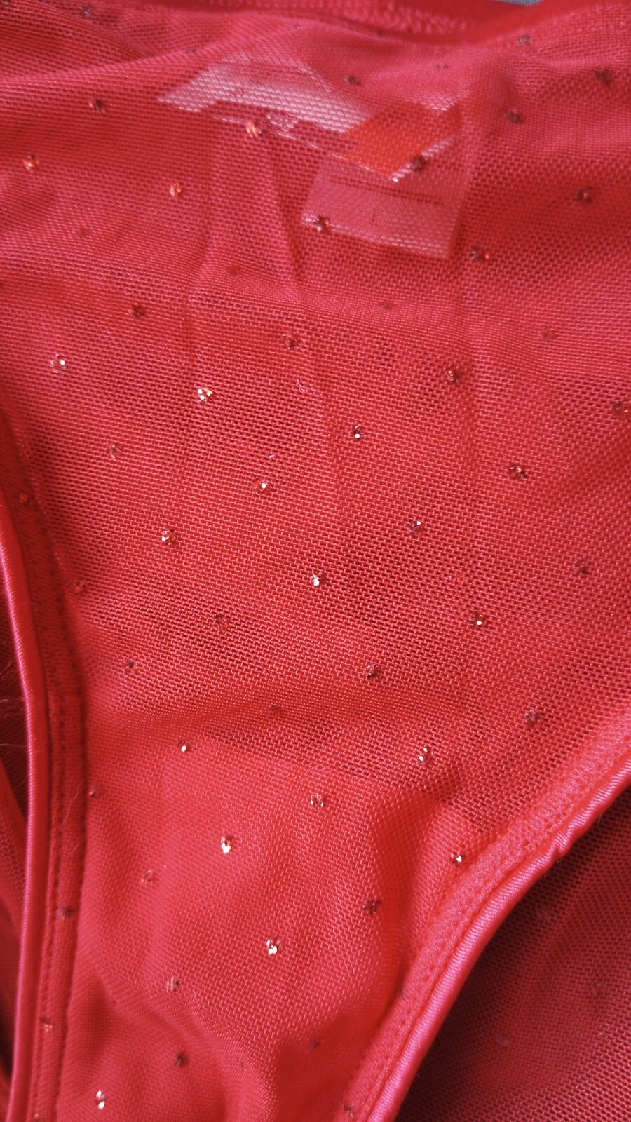 NWOT Vintage Victoria’s Secret Red Sheer Mesh Lace Sequined Panties Large 2008