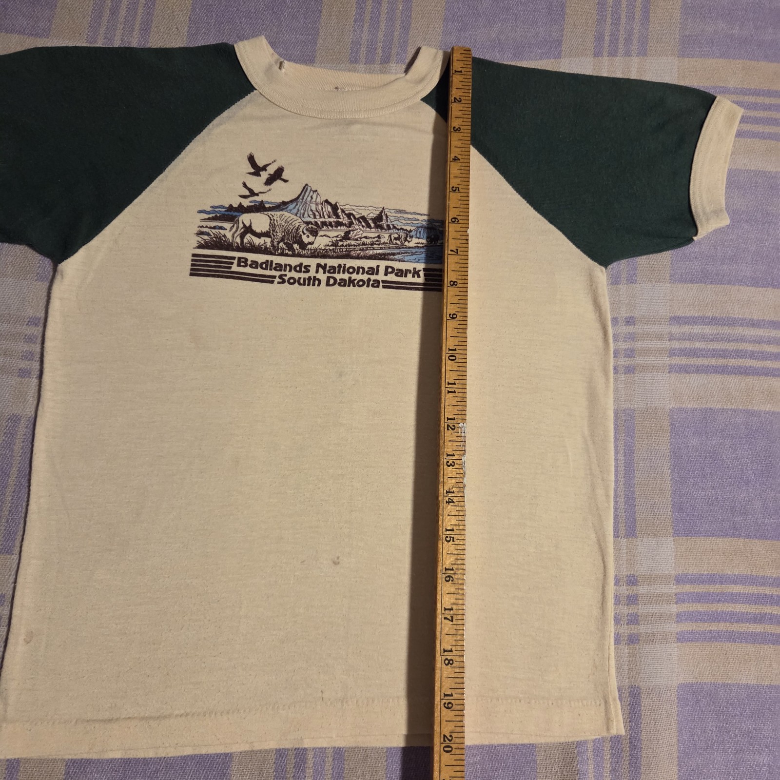 Vintage 80s Badlands National Park South Dakota Graphic T Shirt USA Hiking Women