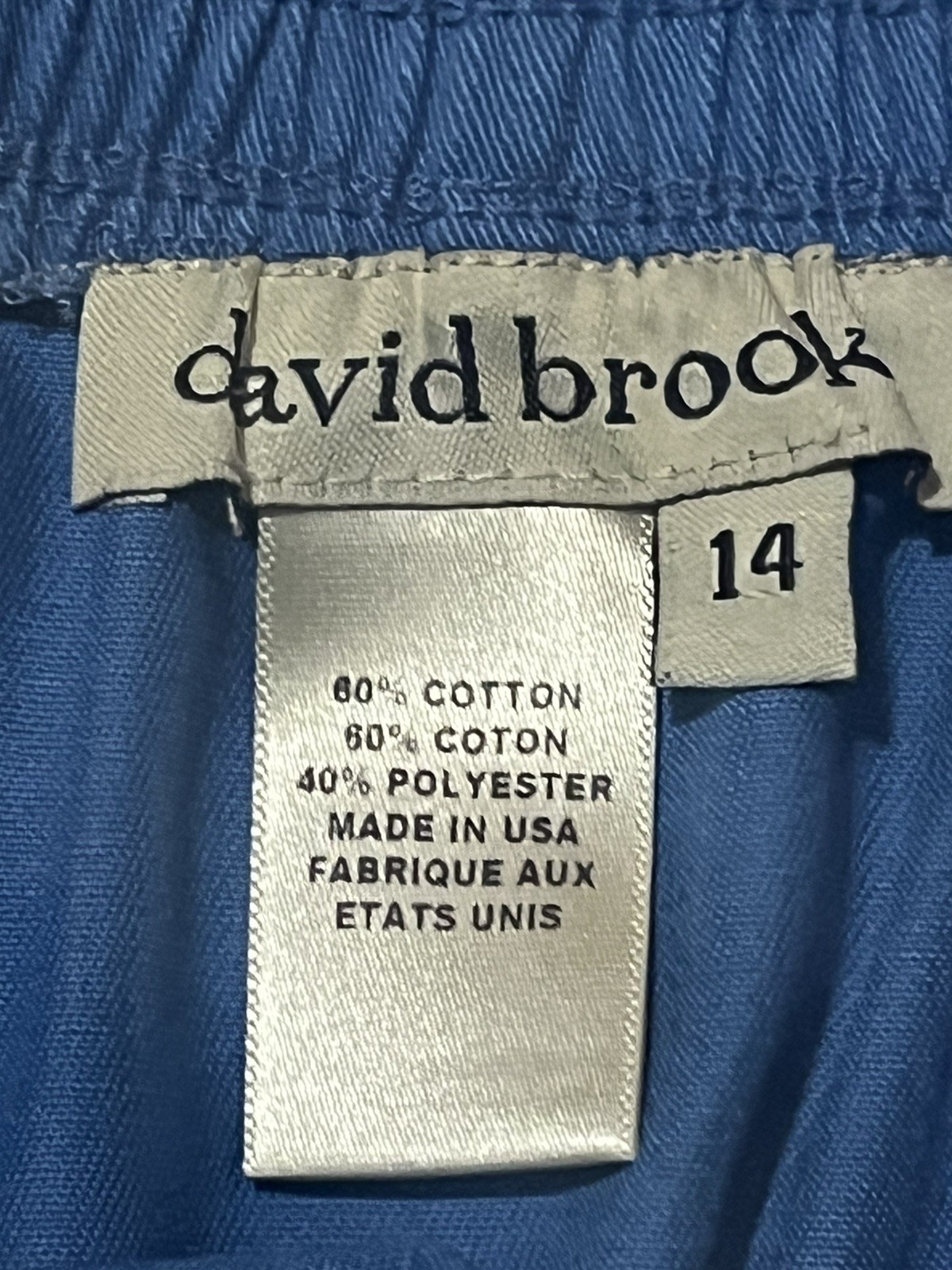 Vtg David Brooks Plant Flower Embroidered Long Skirt Blue Size 14 Cottagecore