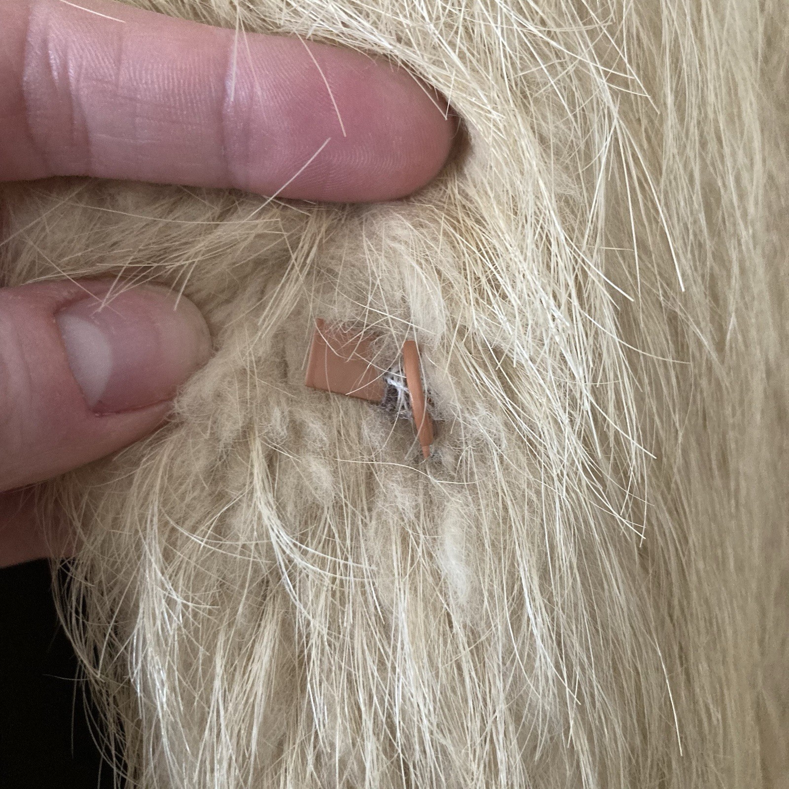 Vintage Real Fur Coat – Likely Nutria – Repair Project / Statement Piece