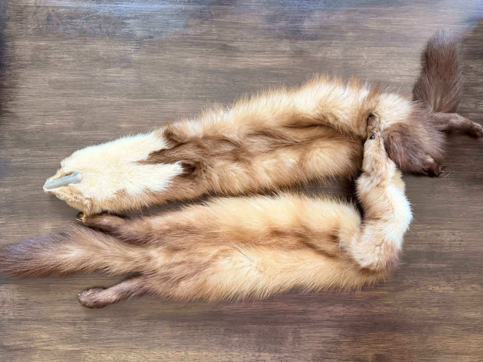 Vintage Real Red Fox Pair Fur Stole Wrap Collar Clip-On Taxidermy Fur Scarf