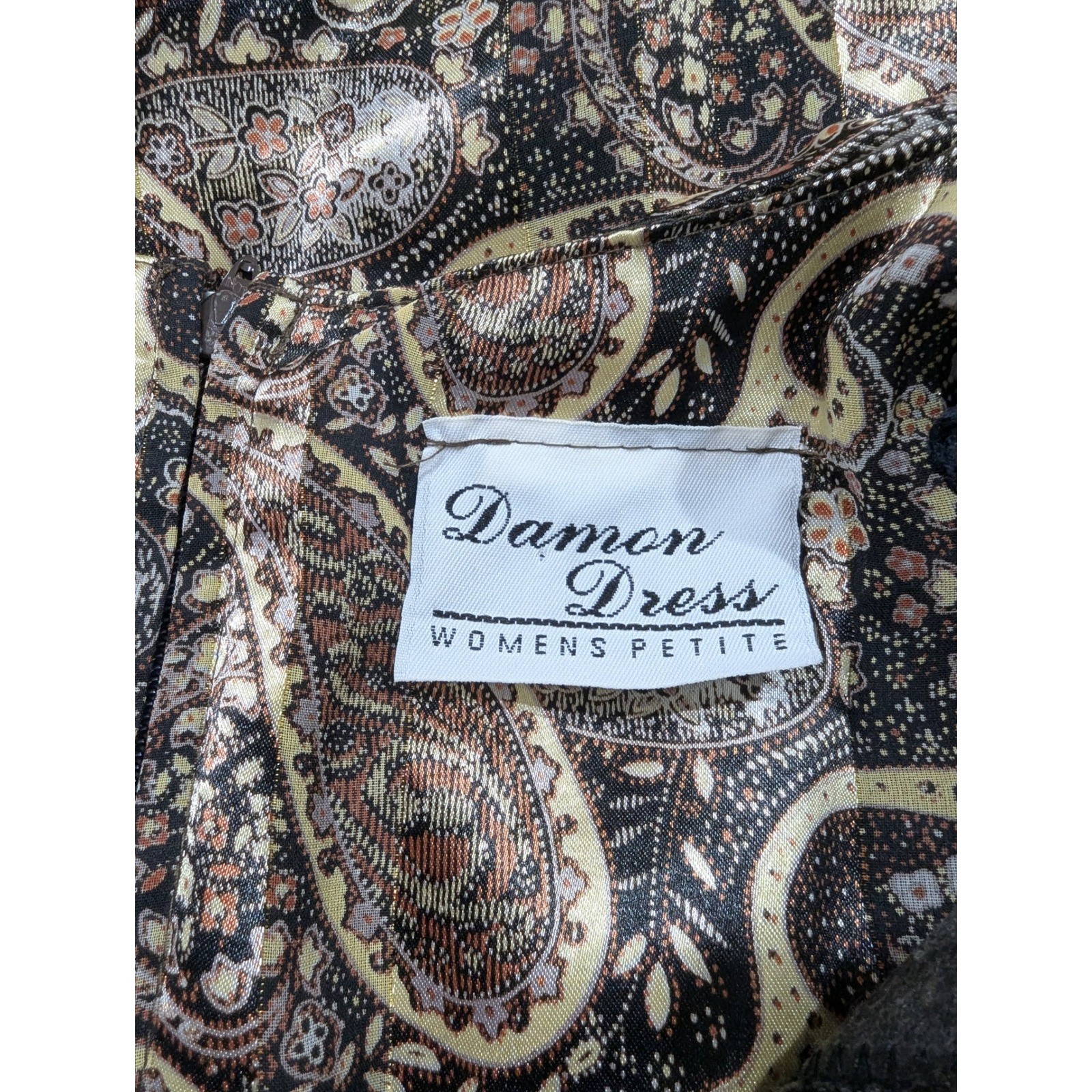 Vintage Damon Dress Womens 20WP Paisley Pleated Blouson Midi Dress ILGWU USA