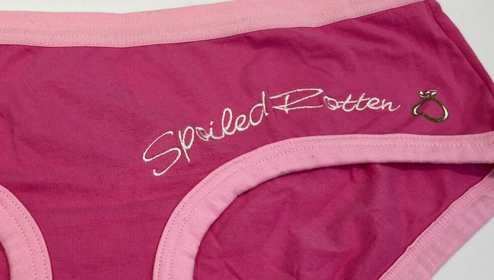 Vtg ST EVE Intimates Rare Pink Hipster Bikini Panty ”Spoiled Rotten” Embroidery