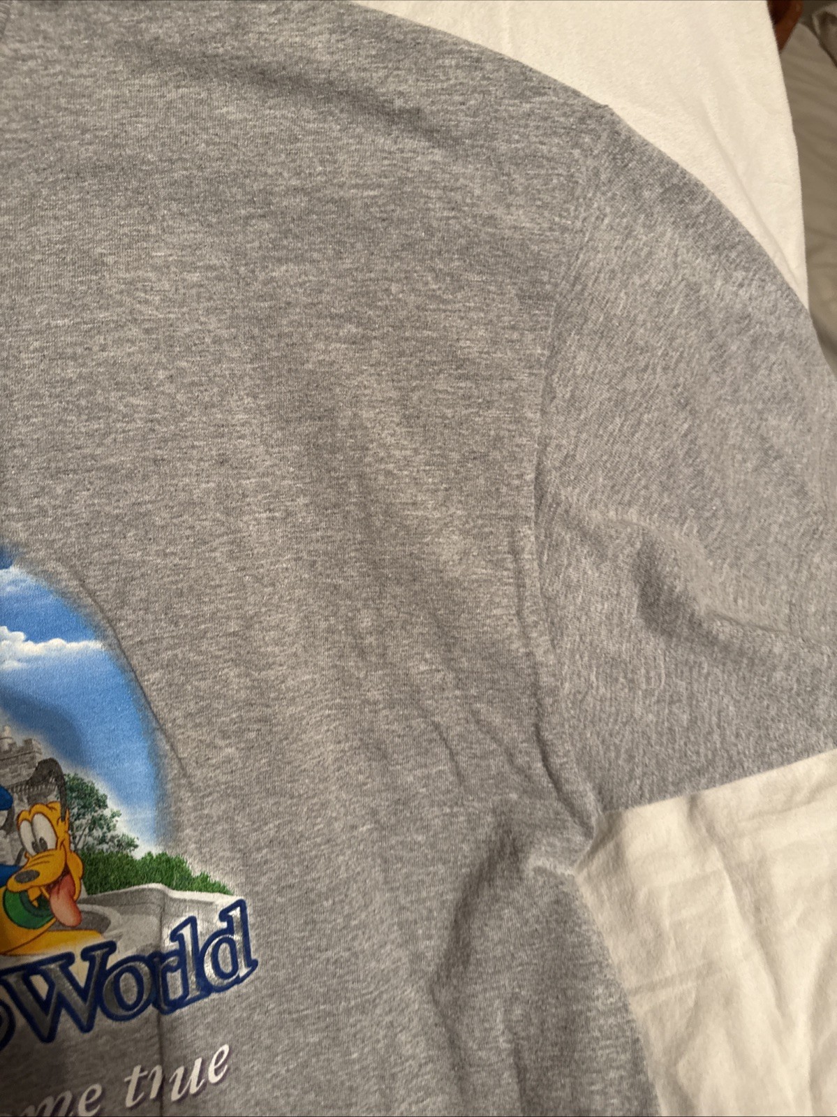 Walt Disney World Where Dreams Come True Gray T Shirt Cast Characters XL 22×26