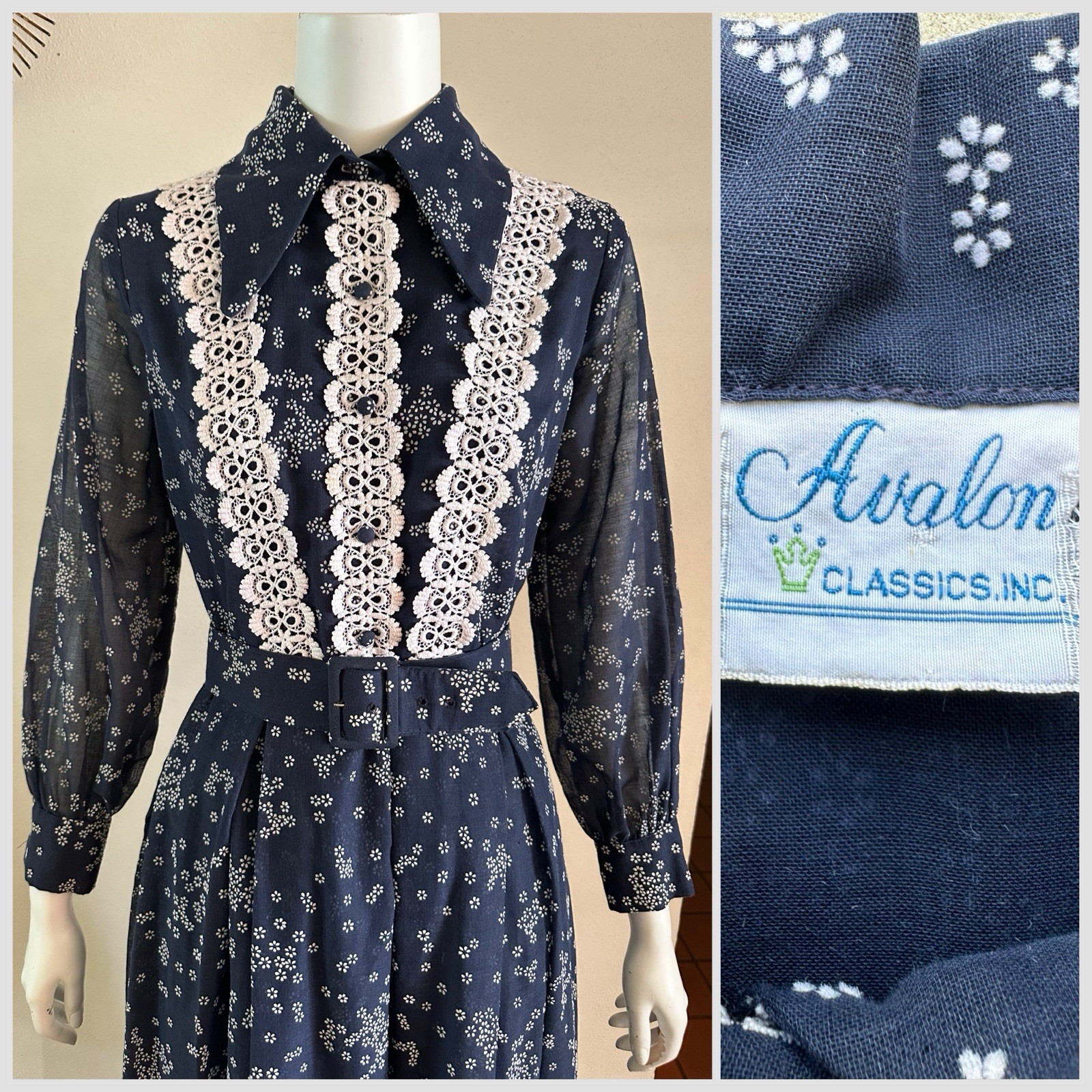 1970s Avalon Classics Dagger Collar Maxi Dress Boho Prairie Lace Daisy Print VTG