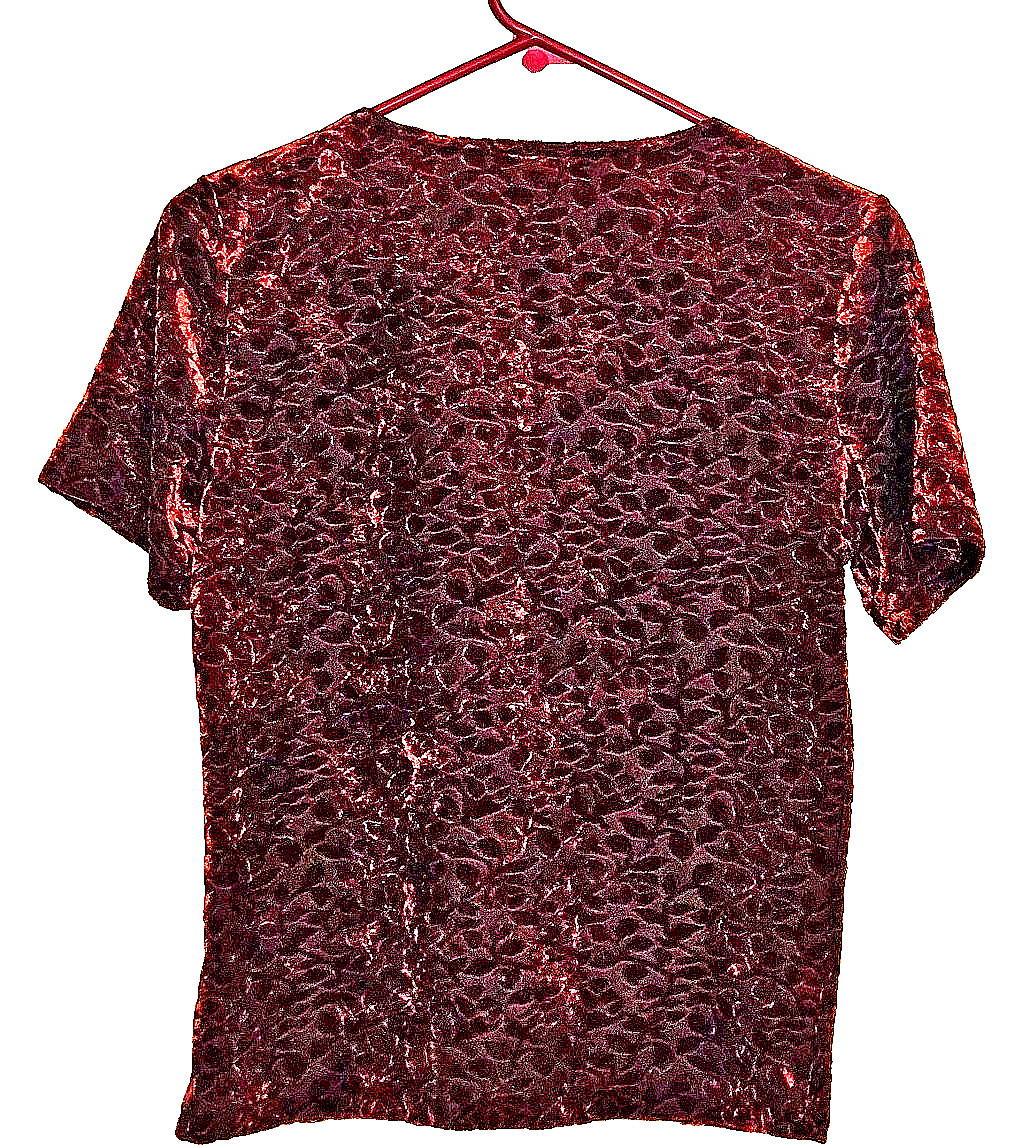 Dark Romance Burgundy Velvet Burnout Top S Vamp Witchy 90s Grunge Whimsigoth
