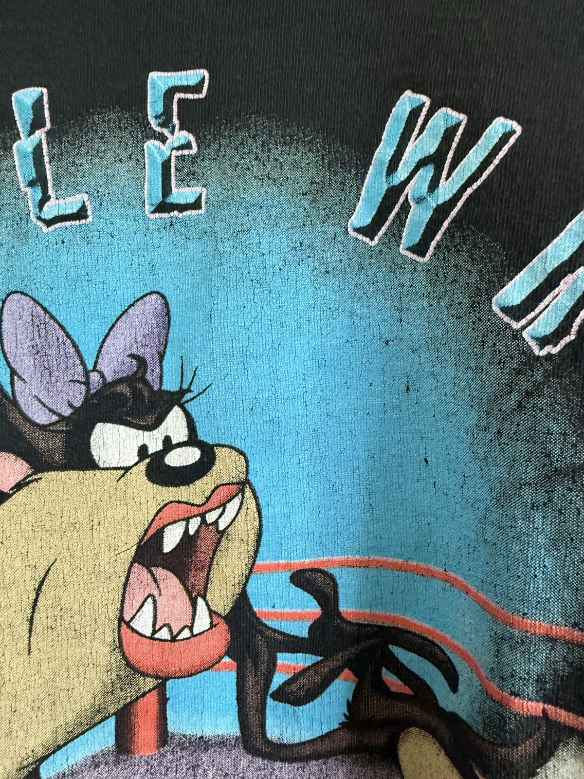 Vintage Tasmanian Devil Graphic 26W 28W Vintage 90s Y2K Looney Tunes Tee Women