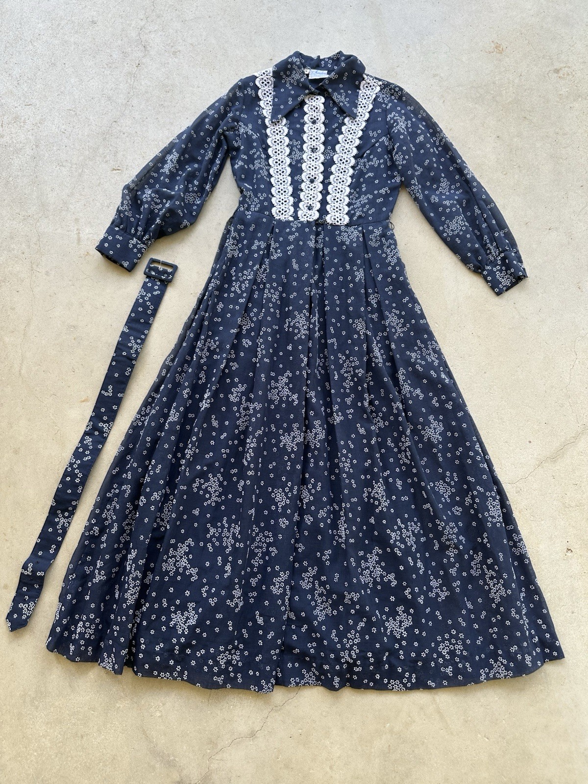1970s Avalon Classics Dagger Collar Maxi Dress Boho Prairie Lace Daisy Print VTG
