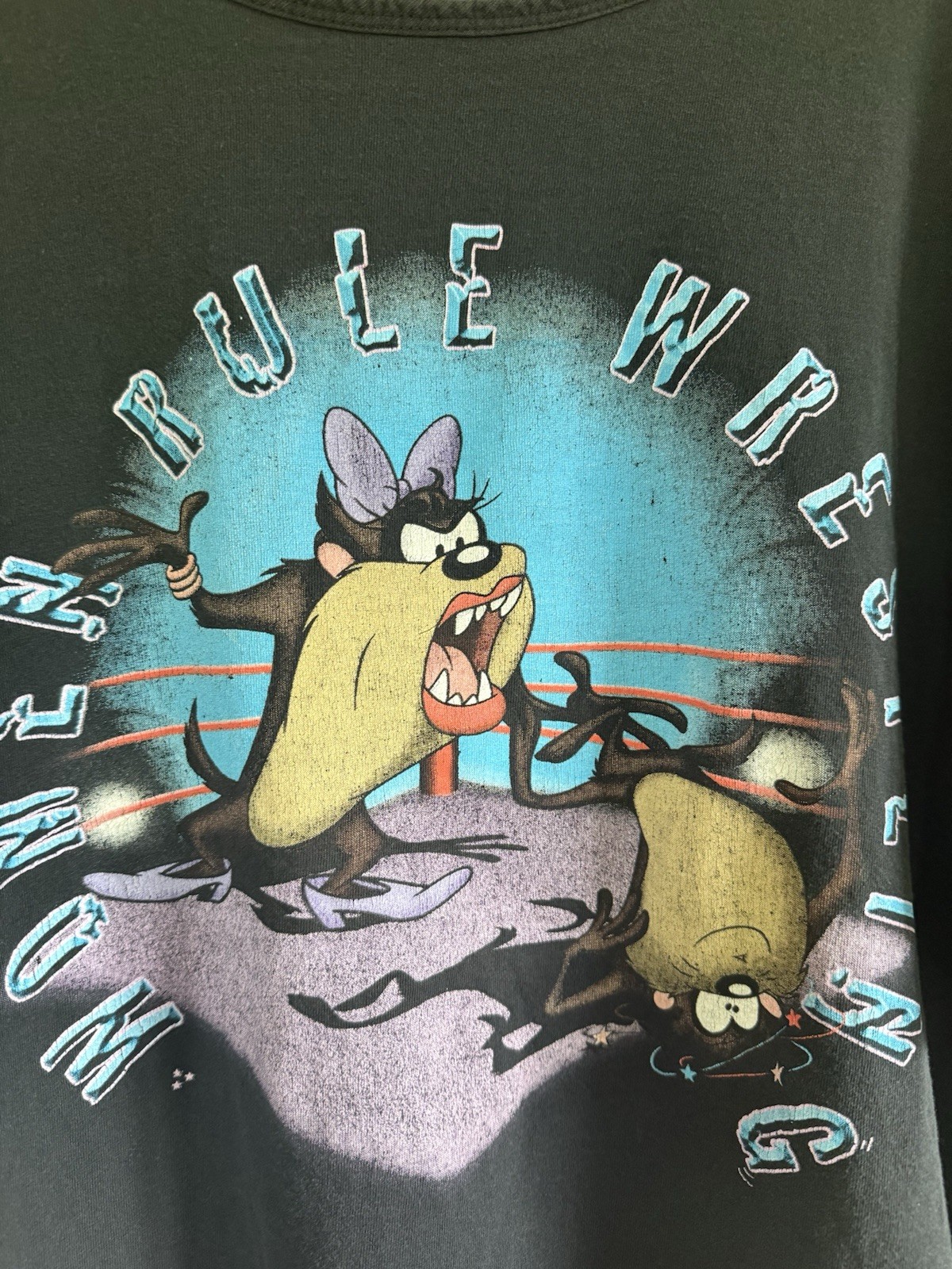 Vintage Tasmanian Devil Graphic 26W 28W Vintage 90s Y2K Looney Tunes Tee Women