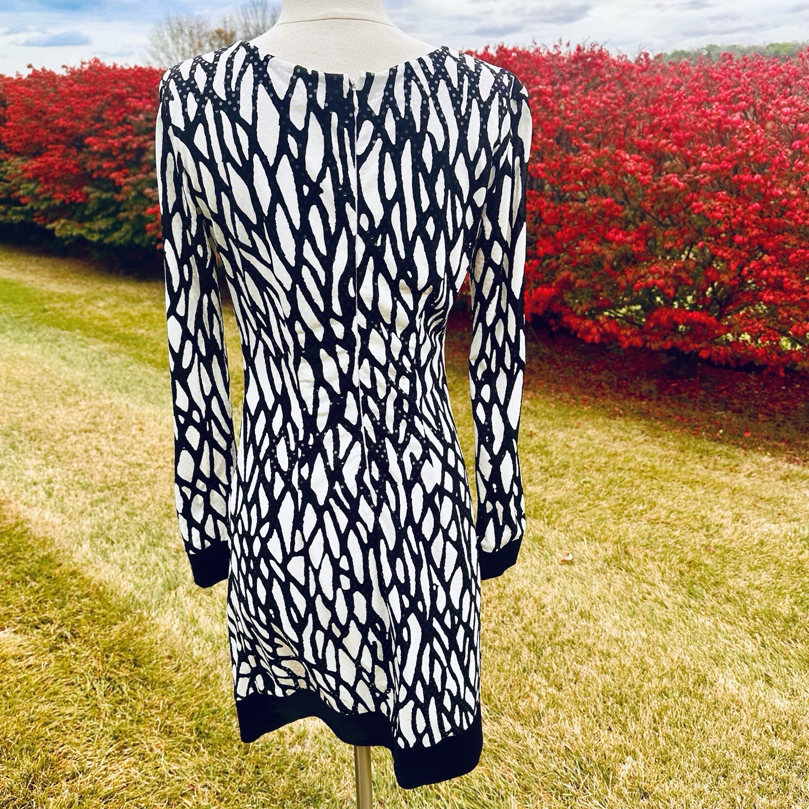 Cache Vintage Dress