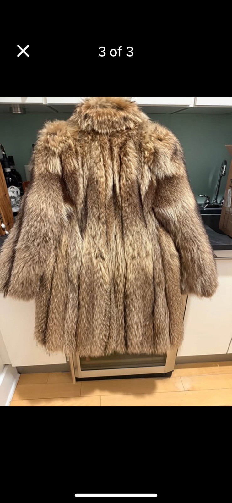 Genuine Tanuki Fur –38” Natural Brown Fur – let out full skin