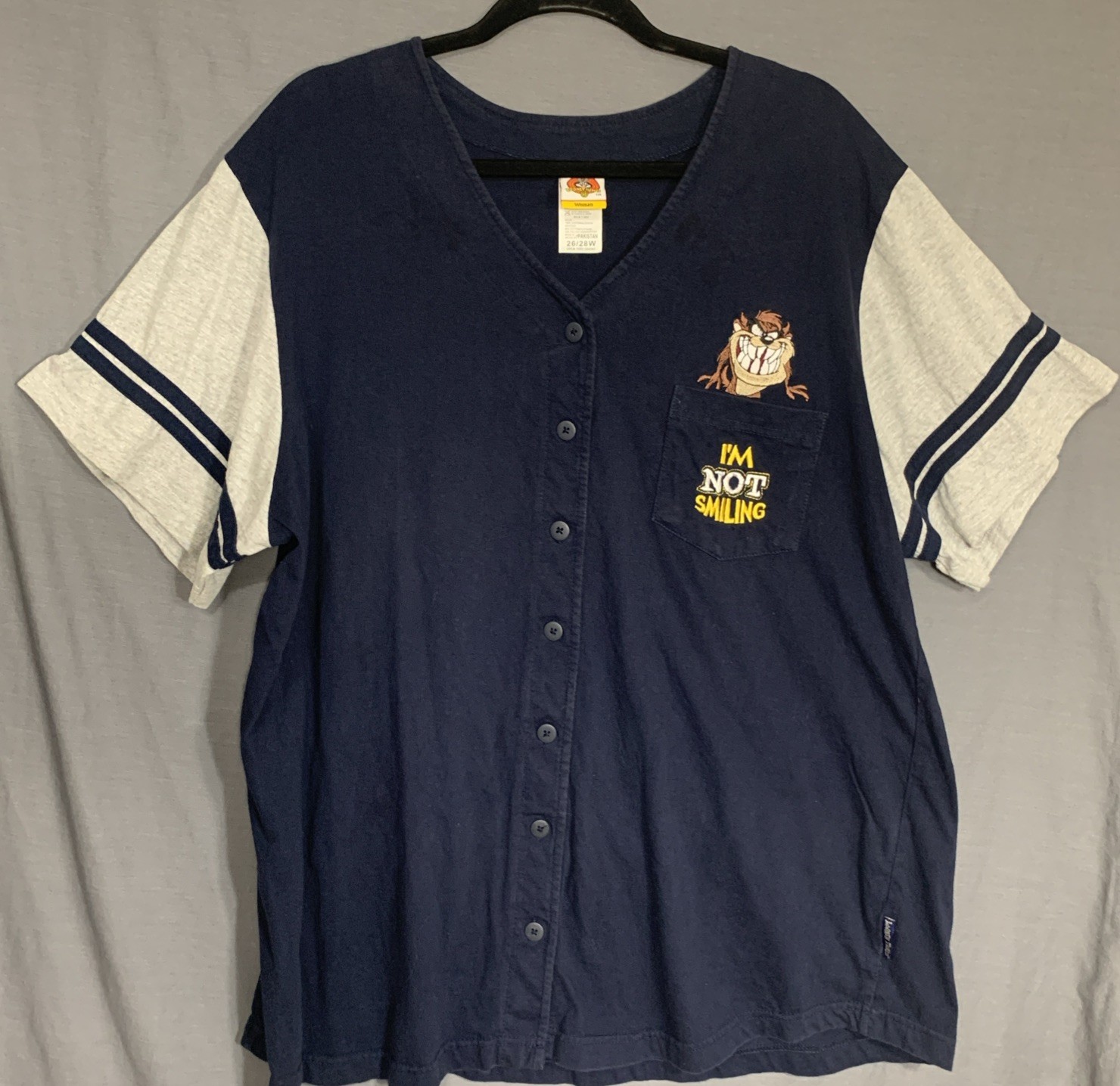 Vintage Taz Devil Woman’s 2001 Baseball Jersey Looney Tunes Shirt Size 26/28W