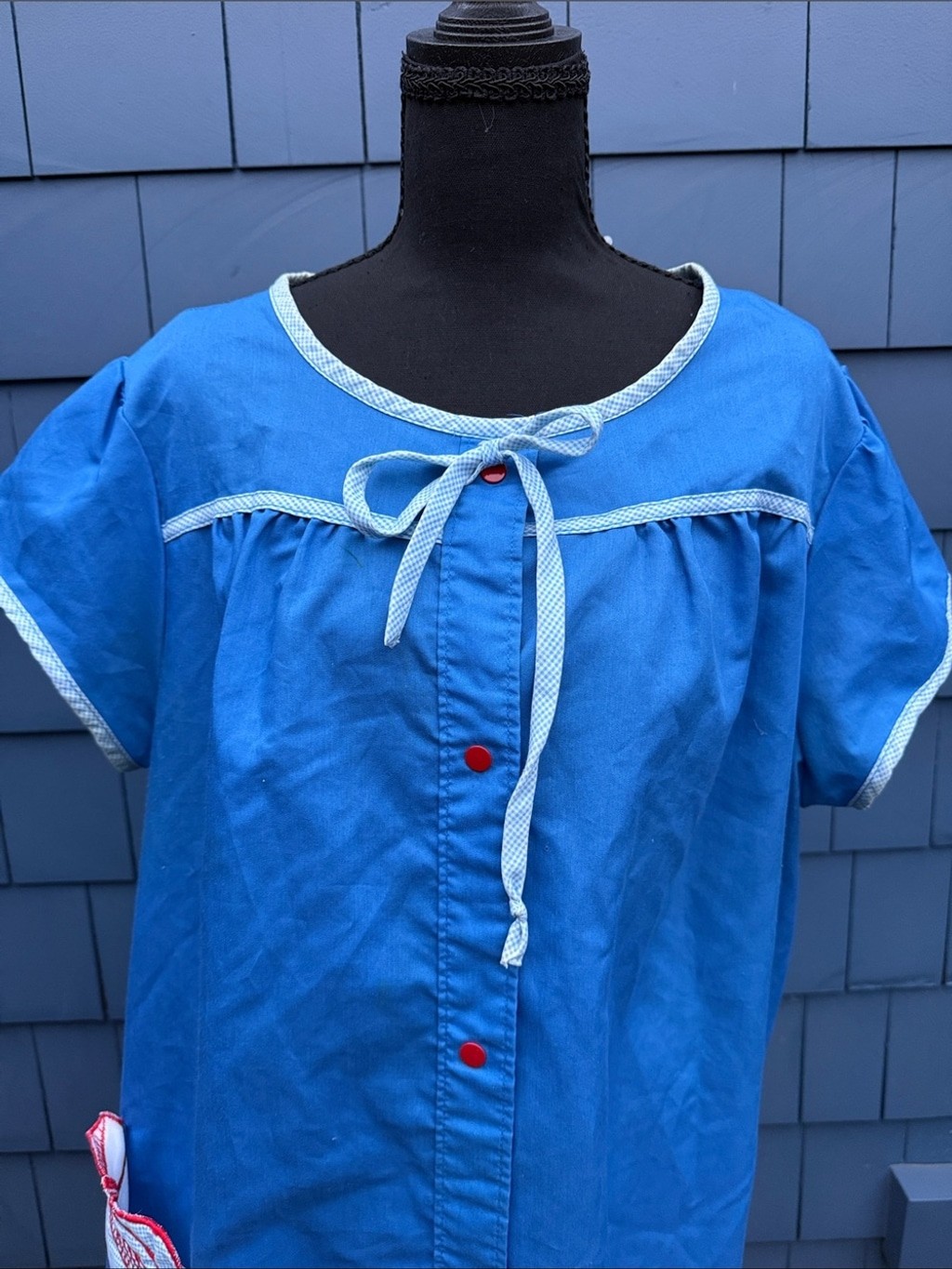 Bright Blue Button-Front House Dress with Red Accents Dan Ellen