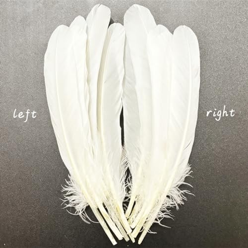 50pcs Feathers 8~10 in,Beautiful Bulk Long Feather for Crafts（21 White