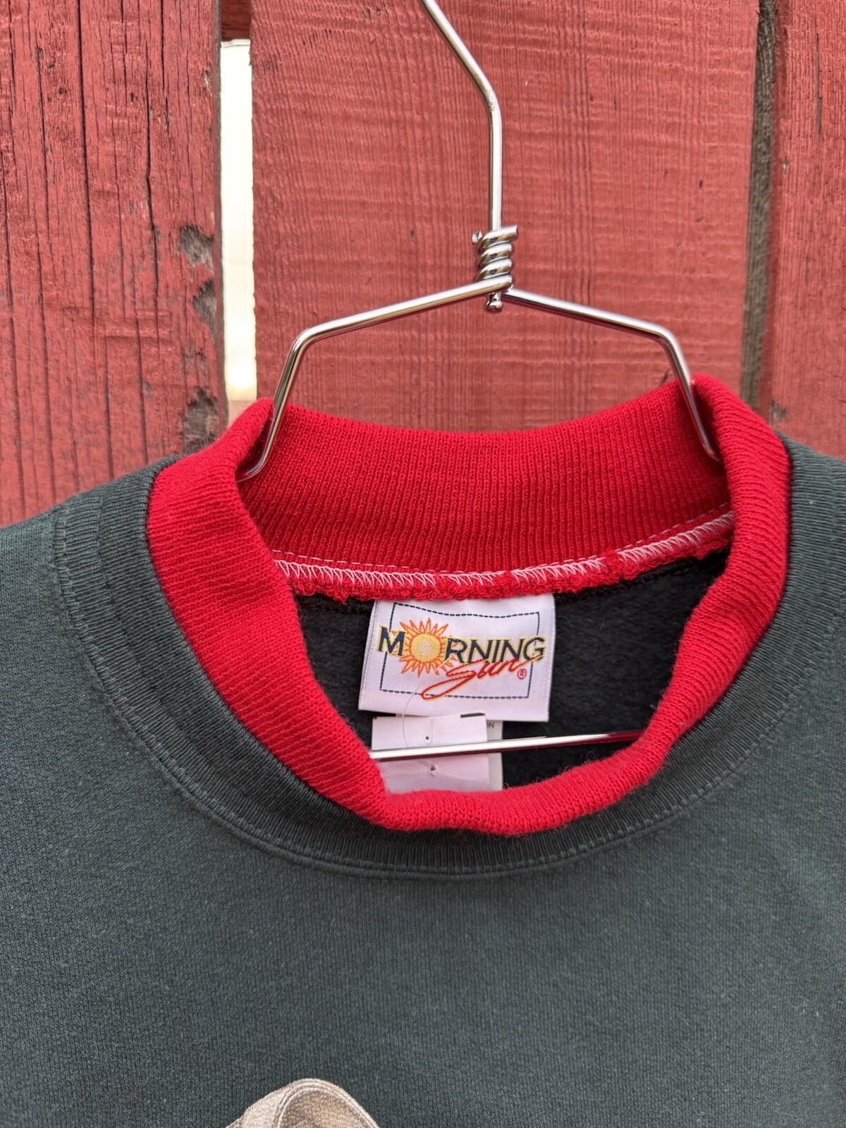 Vintage Kitten Puppy Dogs Cats Sweatshirt 80s 90s Apple Harvest Grannycore Fall
