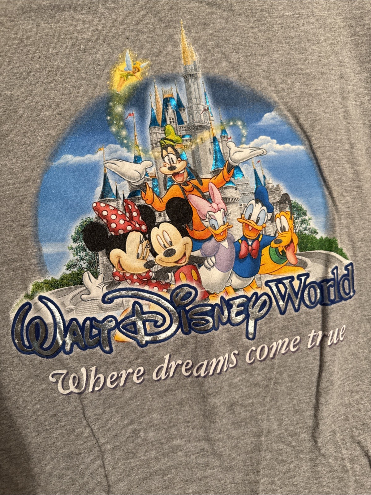 Walt Disney World Where Dreams Come True Gray T Shirt Cast Characters XL 22×26