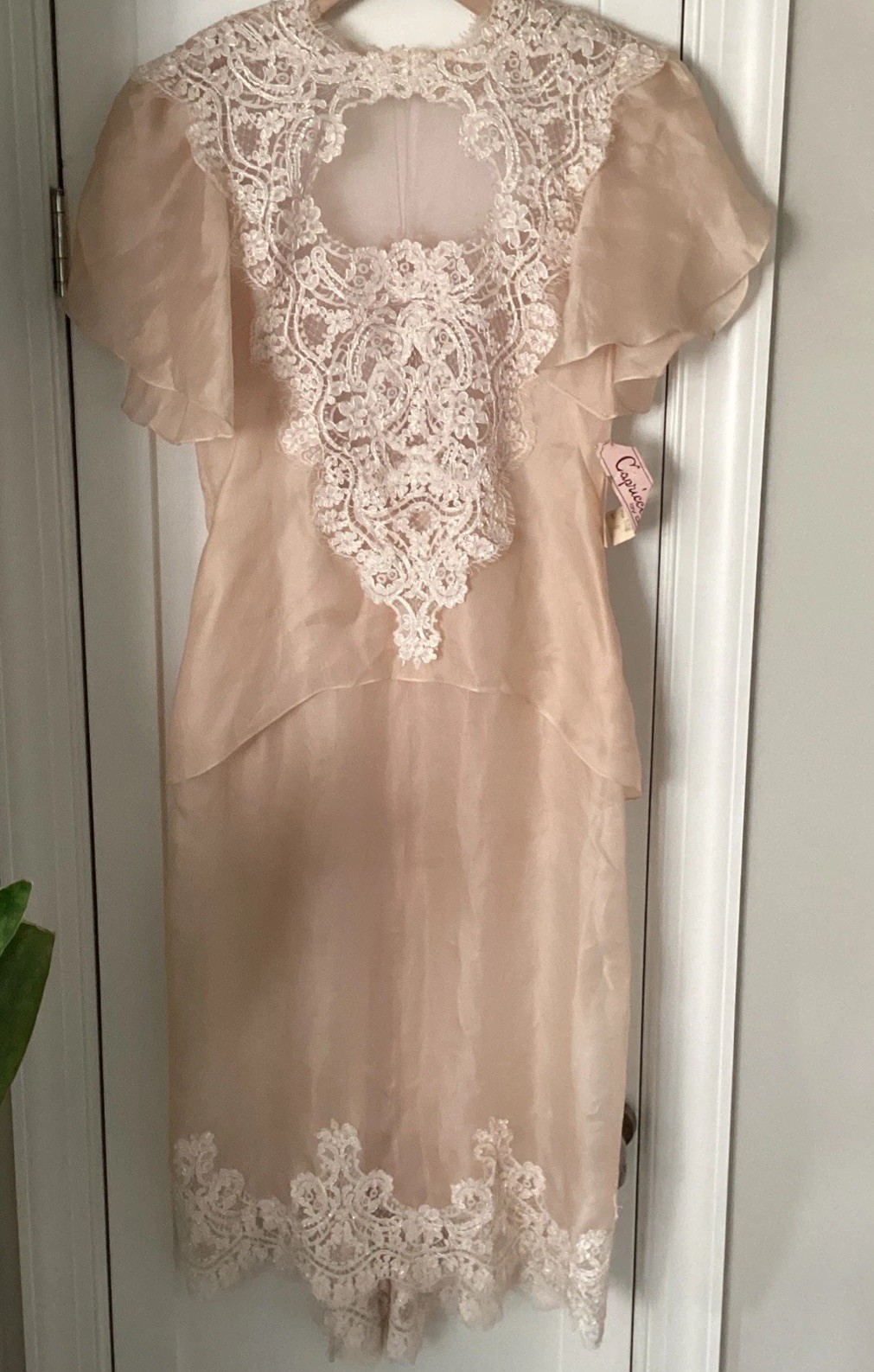 NWT NOS Vtg Capriccio by Digna Silk organza Dress Sz 6 overlay with lace