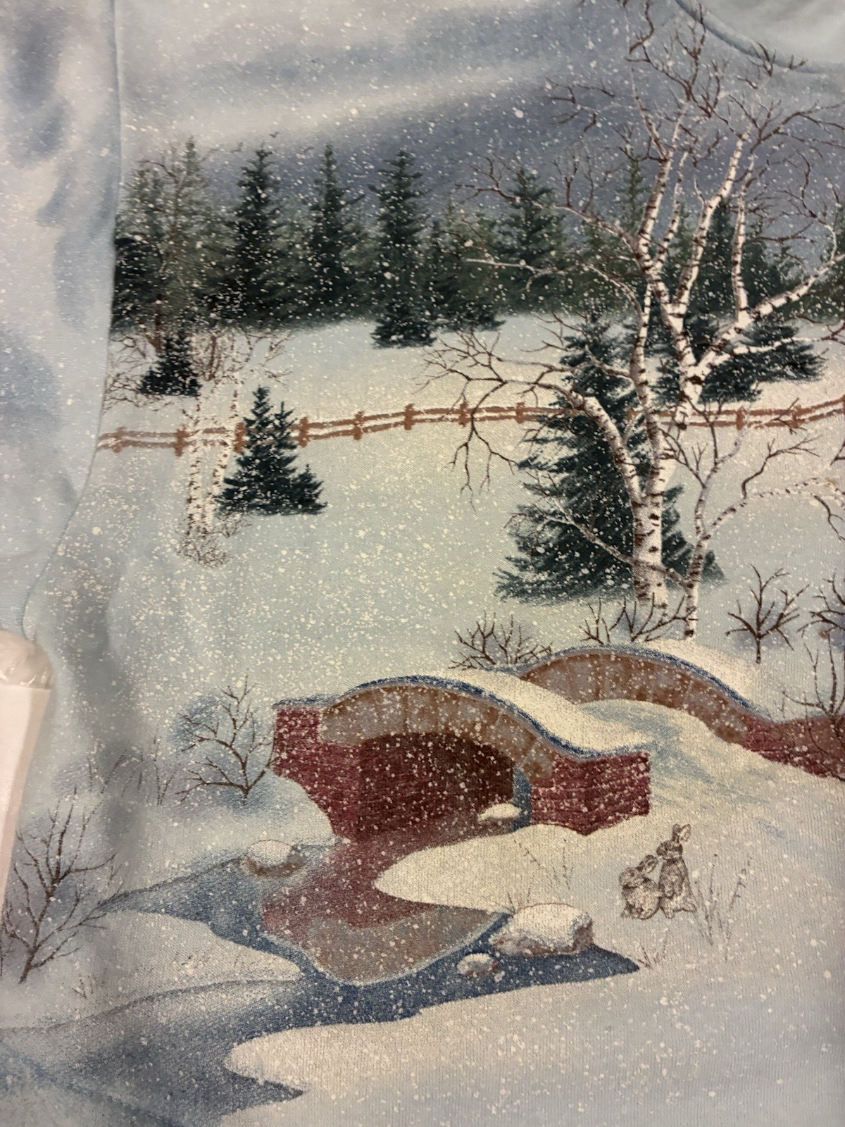 Vtg Winter Scene Graphic Sweatshirt Jacket Women’s Med Grandmacore Button (XL!)