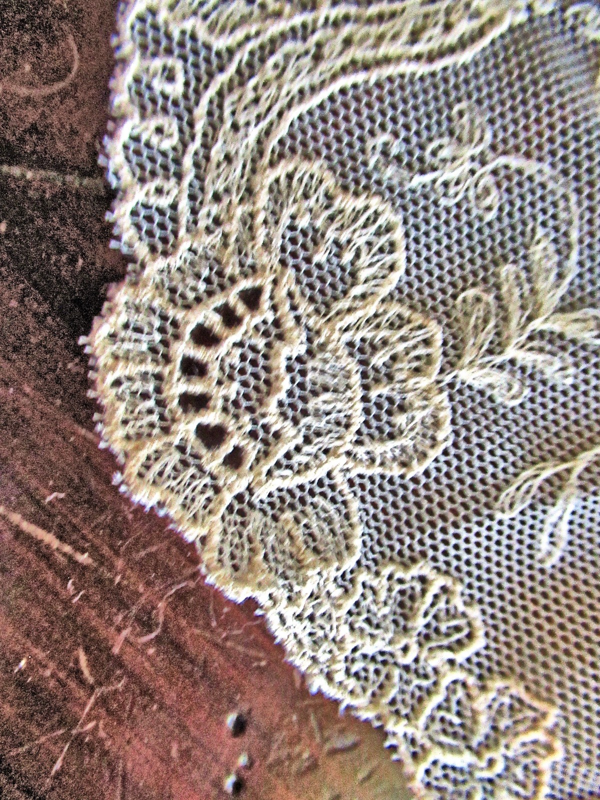 Vtg Lady’s Collar Lappet Scarf Limerick Lace Floral Embroidered Net