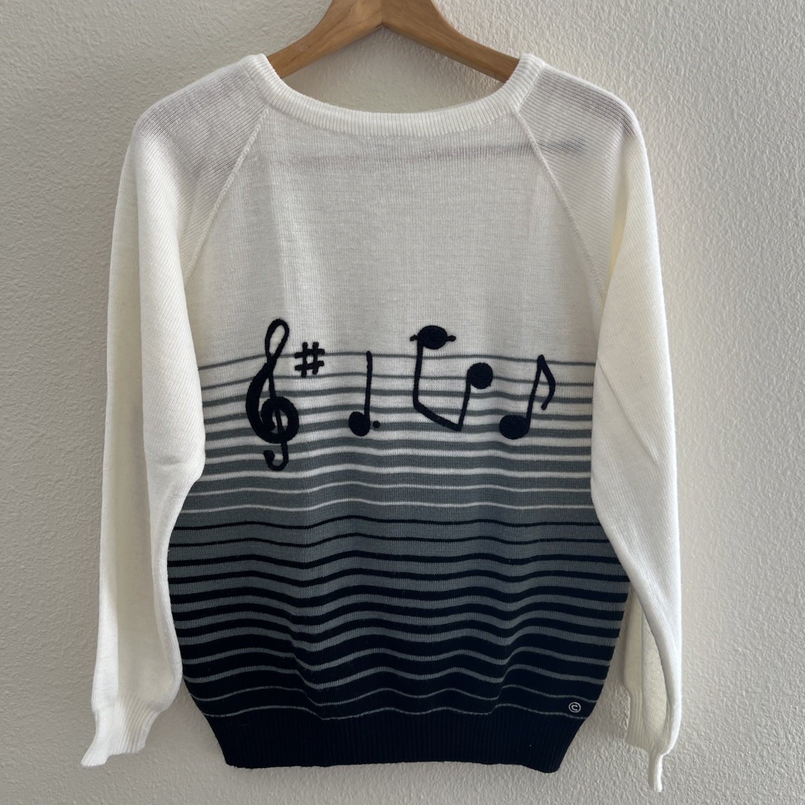 Vintage Cyn Les Shirlee Designs Sweater Embroidered Music Notes Size 42 Ombre