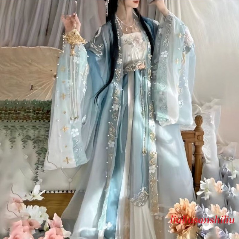 Ancient Chinese Traditional Women Song Dynasty Embroidery Print Hanfu Dress