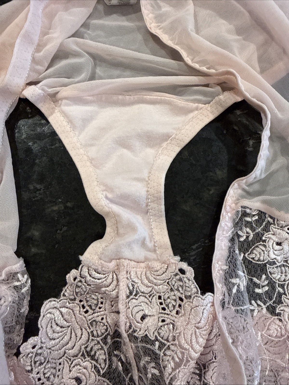 Vintage DELICATES Sheer Mesh and Lace Bikini Panties 2XL