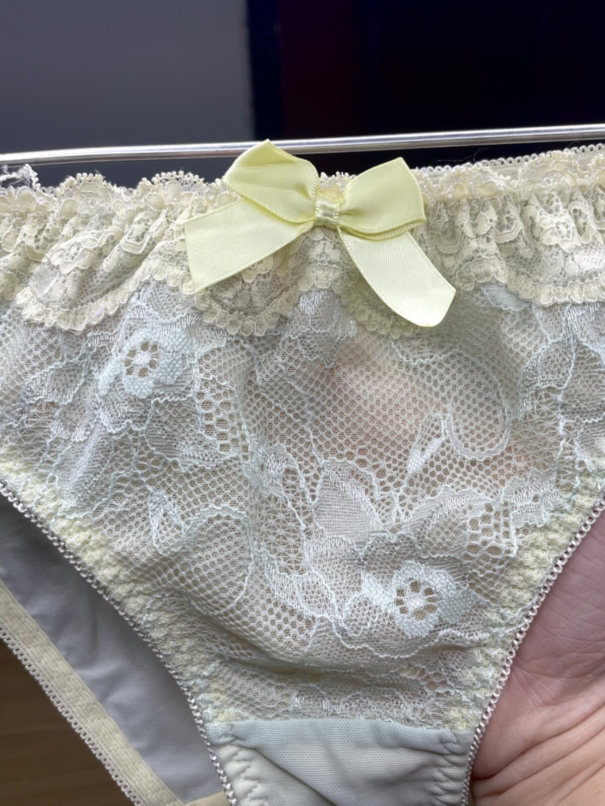 Vintage Silky Pale Nylon Mesh Sissy Panty Sz.5 Floral Lace Briefs Hip 34-37″