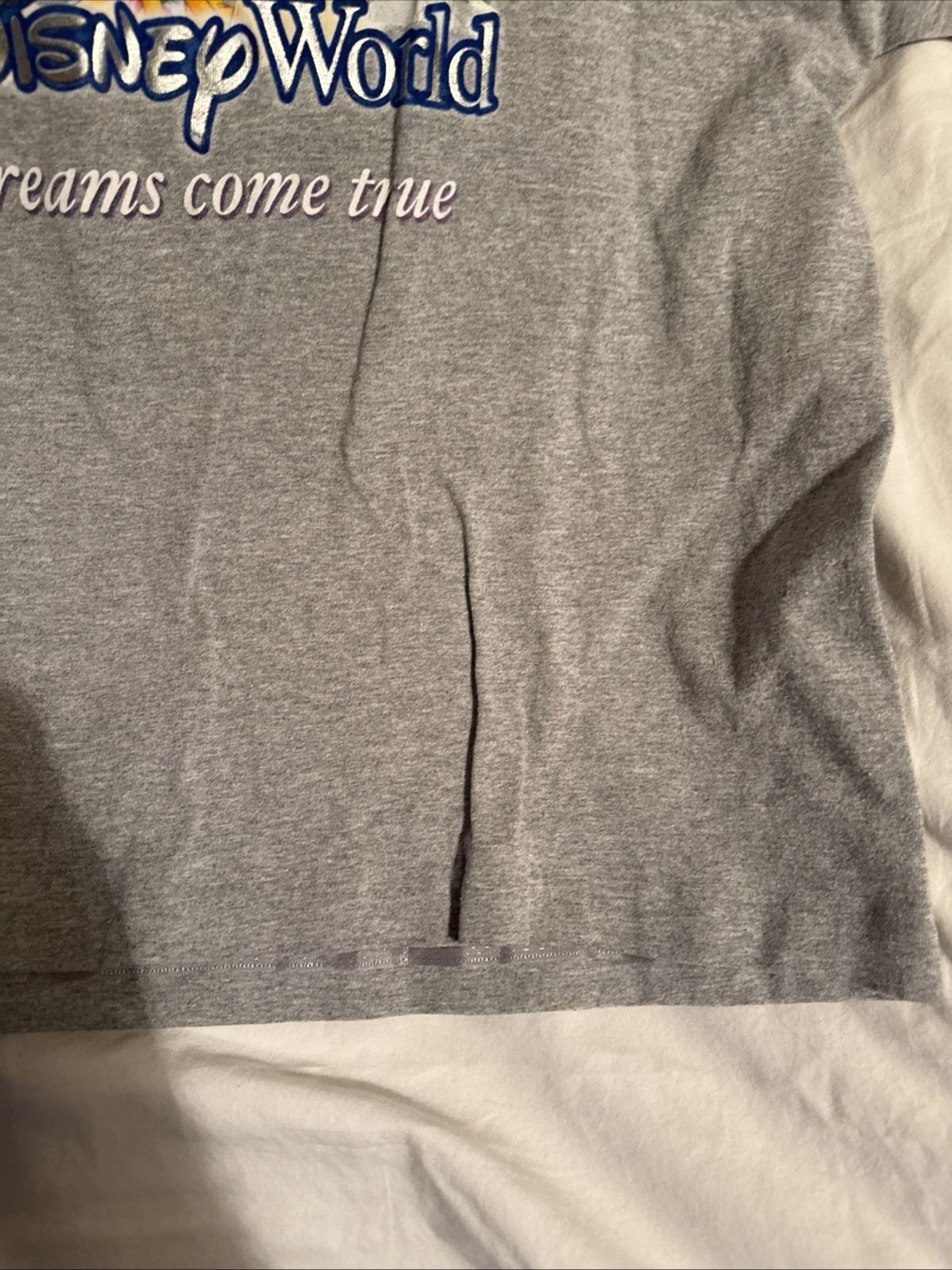 Walt Disney World Where Dreams Come True Gray T Shirt Cast Characters XL 22×26