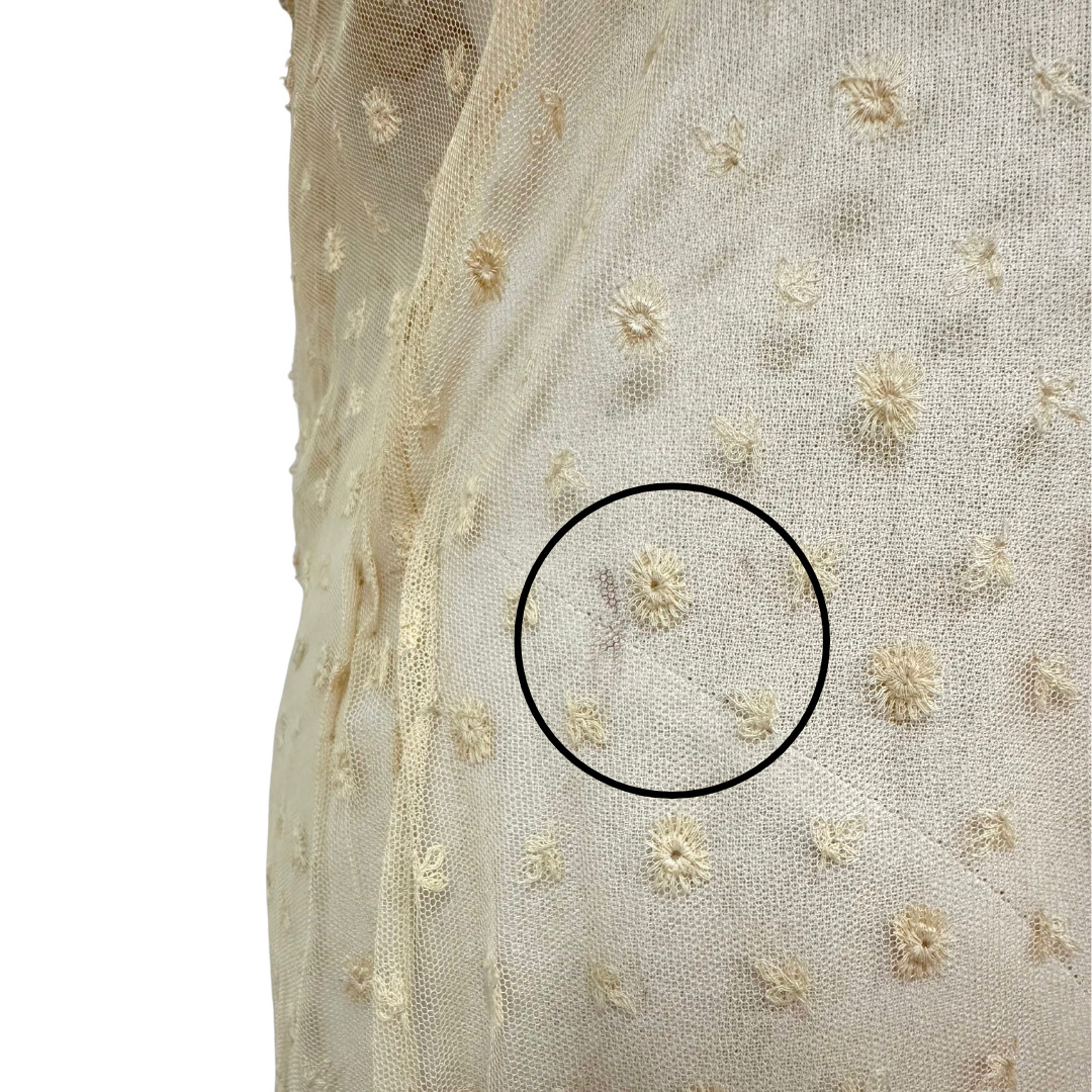 Antique 1900s Edwardian Ecru Net Lace Floral Short Sleeve Sheer Tea Dress
