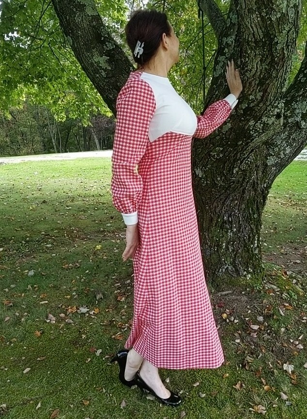 Vintage 1970s Primitive Country Cottagecore Dress Red Check Gingham Sz S
