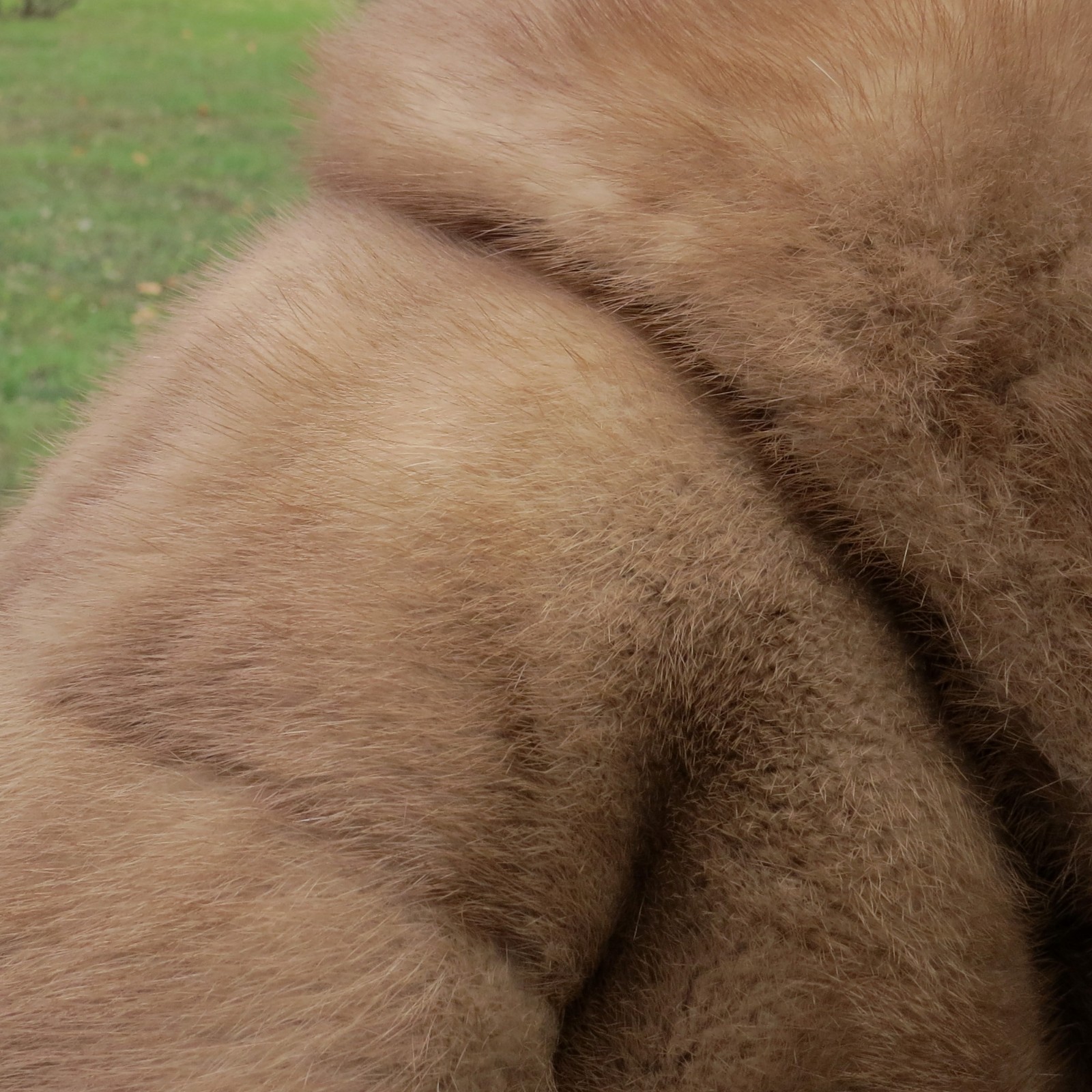 70’s Mink Stole Luxurious Autumn Haze Fully Lined Vintage from Cox’s Waco TX
