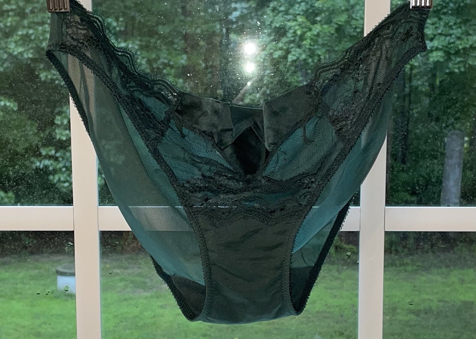 Felina Lingerie 90’s Green Lace Mesh Sheer Bikini Panties Womens M