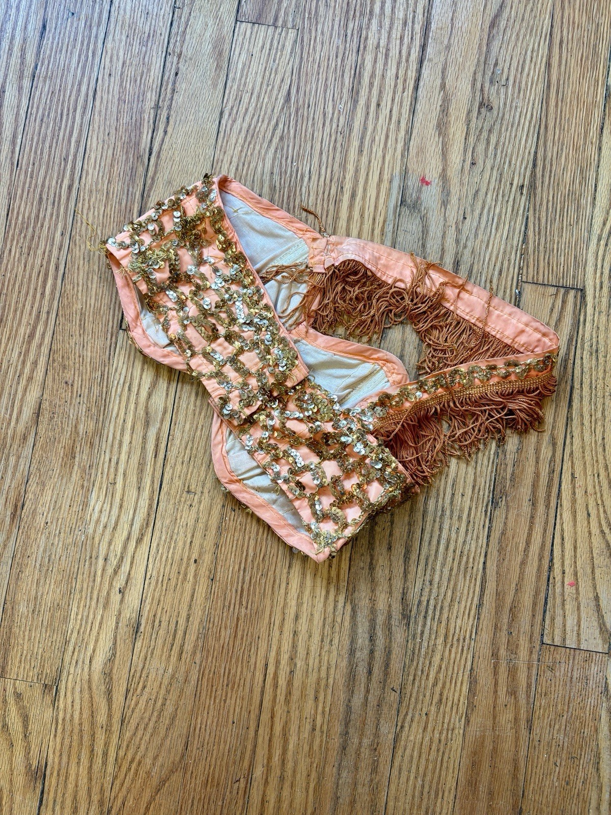 1930’s Sequin And Fringe Burlesque Showgirl Bralette