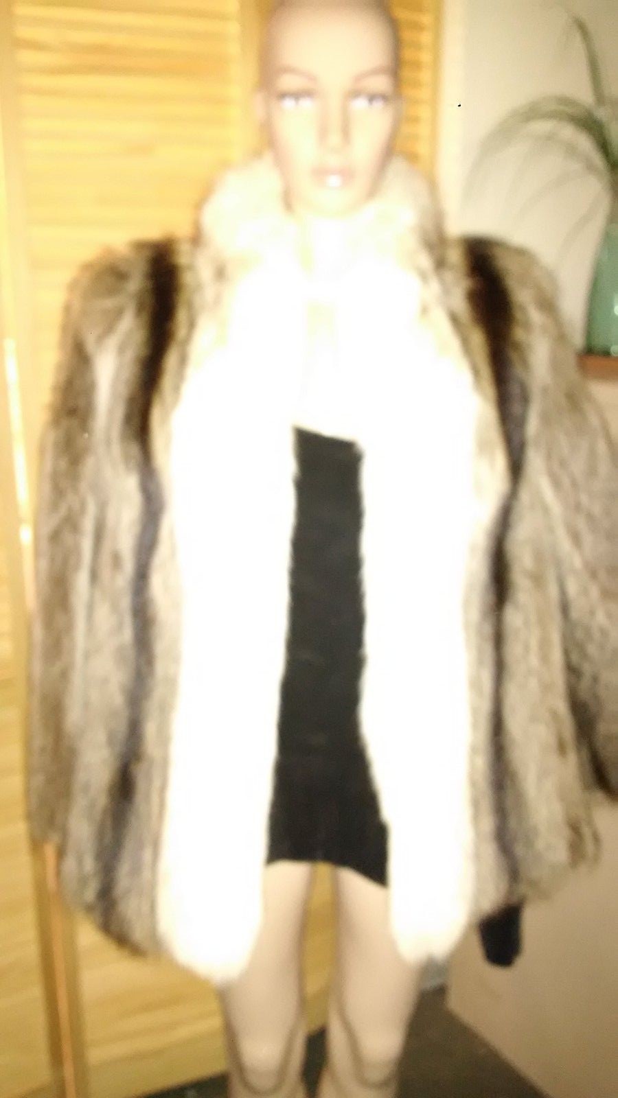 Vintage Med, Raccoon fur w/silver-tipped Fox collar short coat, gorgeous lining