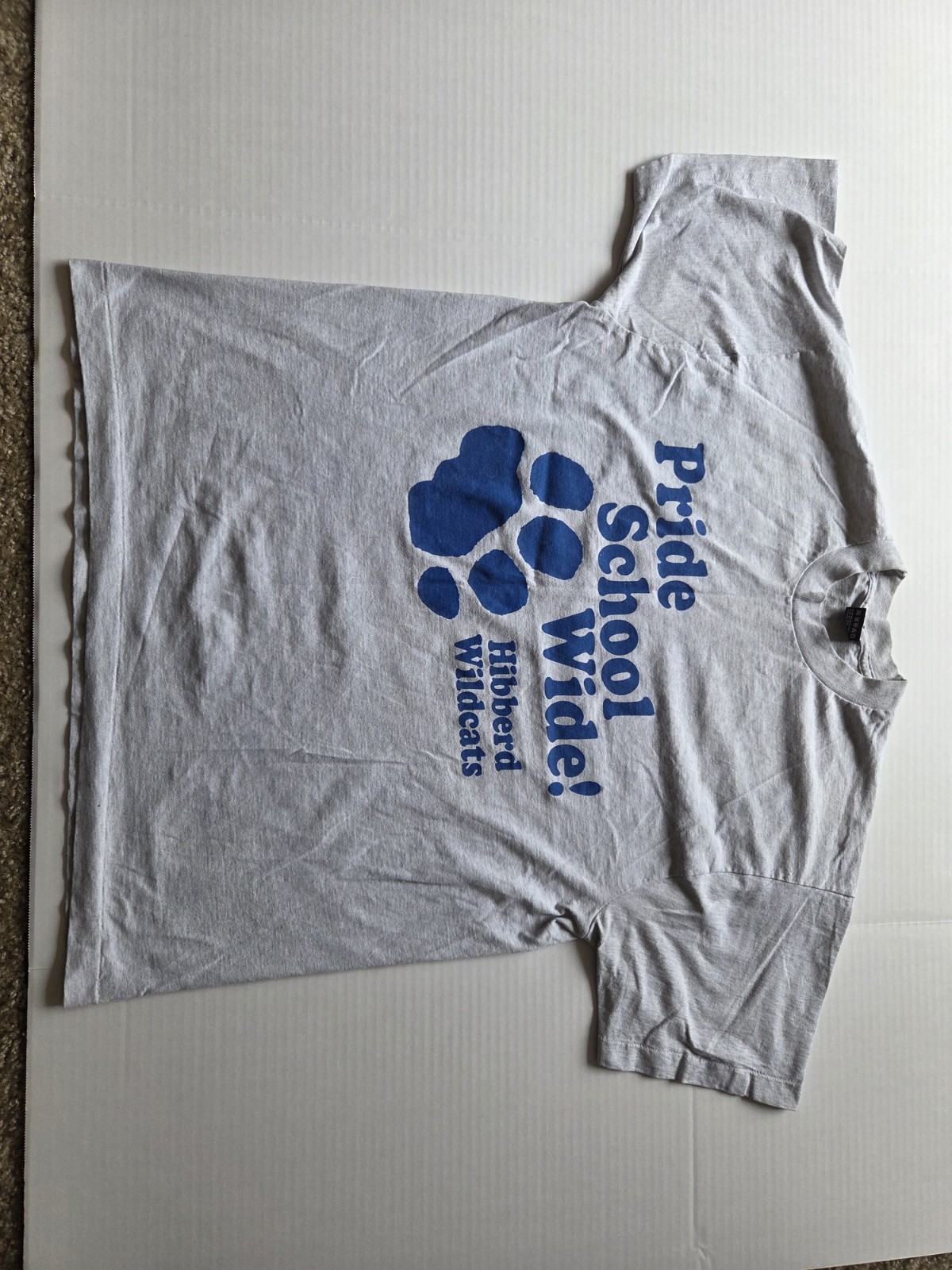 blue „Pride School Wide!” graphic with a paw print logo Fruit Of The Loom Xl