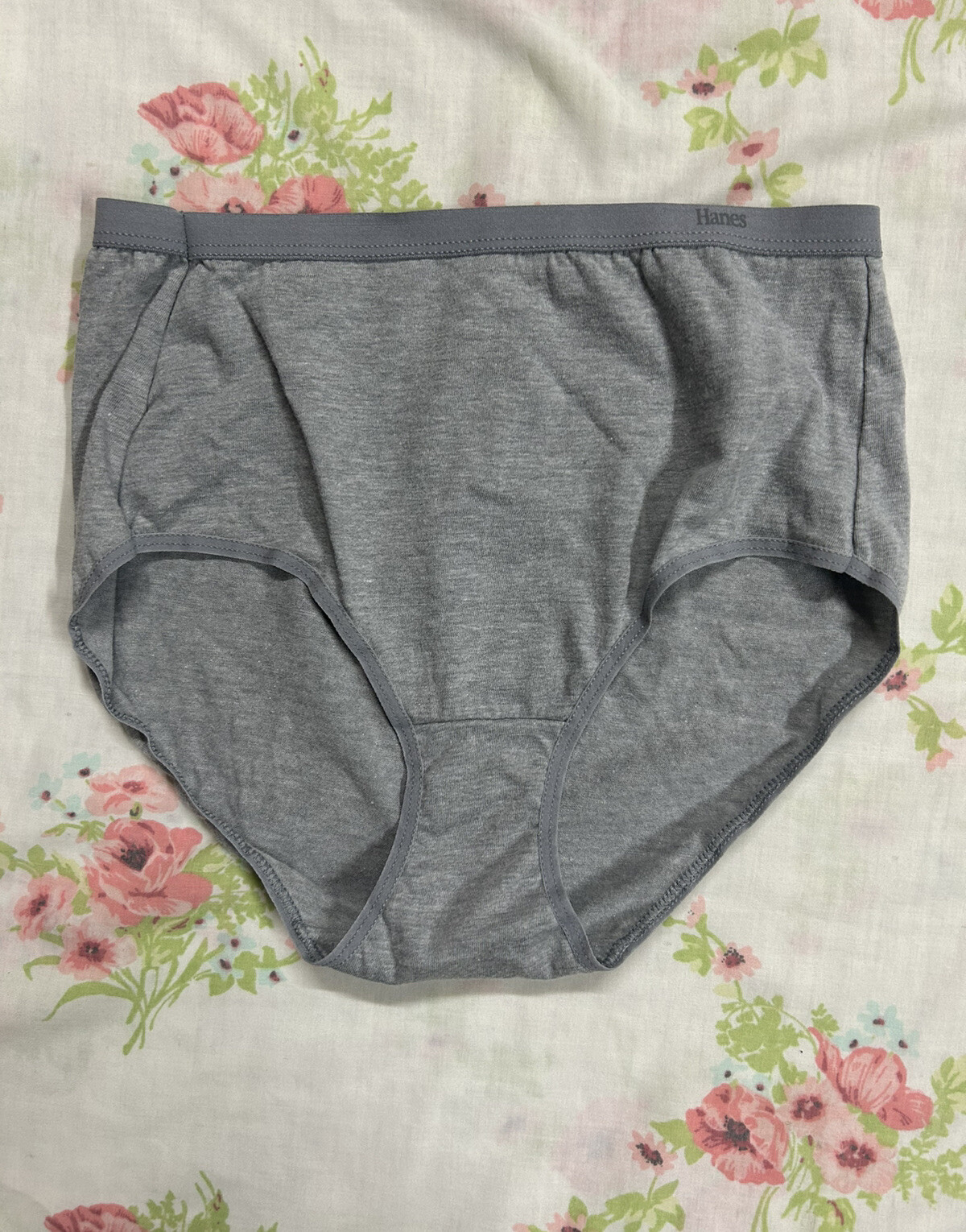 Hanes Brief Panty Soft Panties Size 5 / S