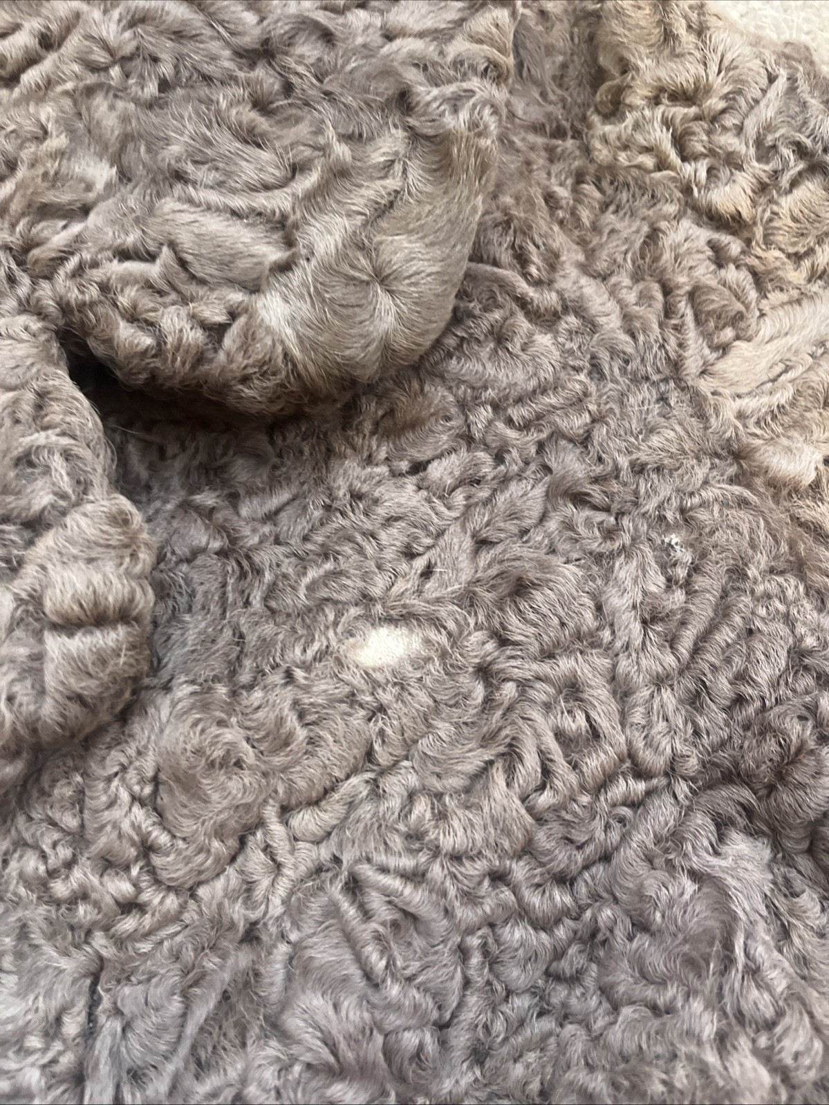 Vintage Karakul Lamb Toronto Furs Brown Coat K. Bouyotonoulos Athens Greece M/L