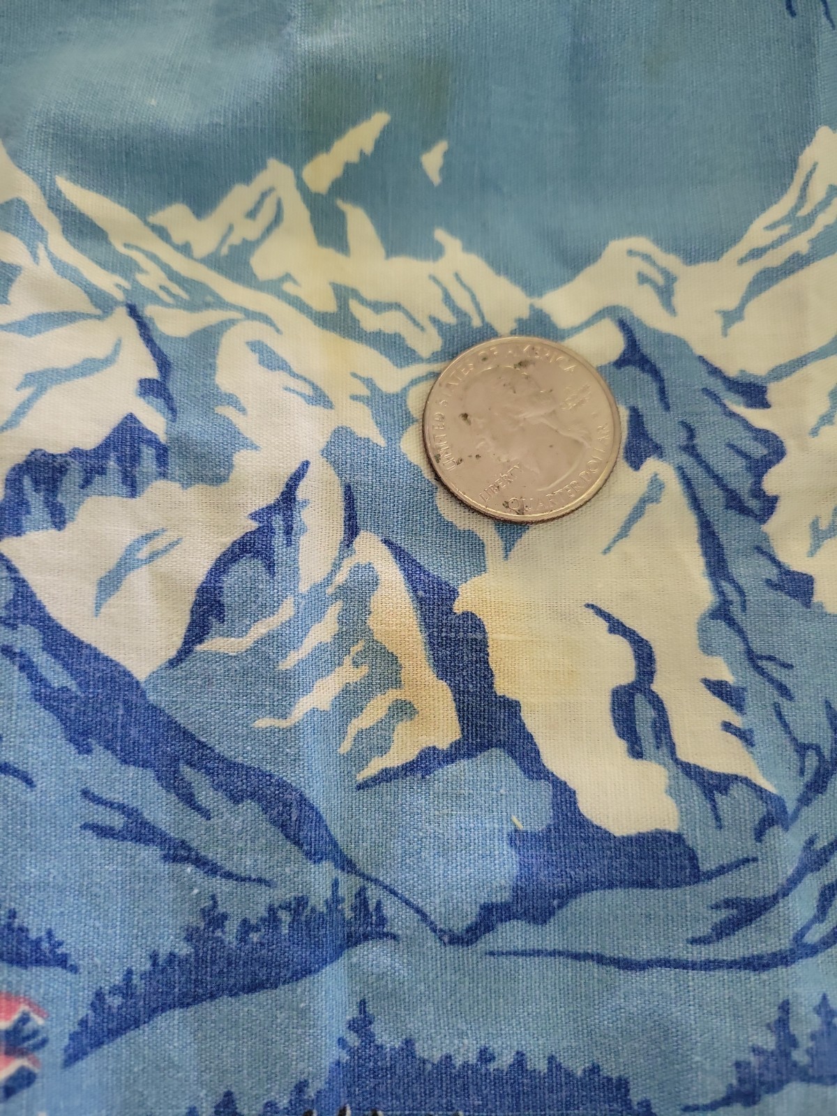 Vintage 1950s Full Skirt Novelty Print Blue European Alps Scene Rockabilly