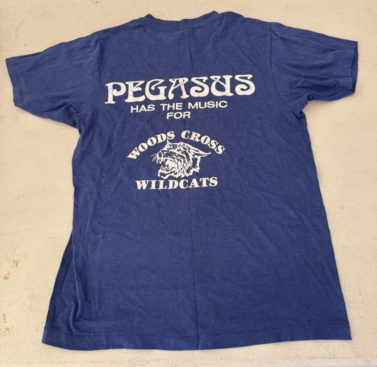 VINTAGE Pegasus Albums And Tapes Blue T-Shirt Medium M Single Stitch Women’s