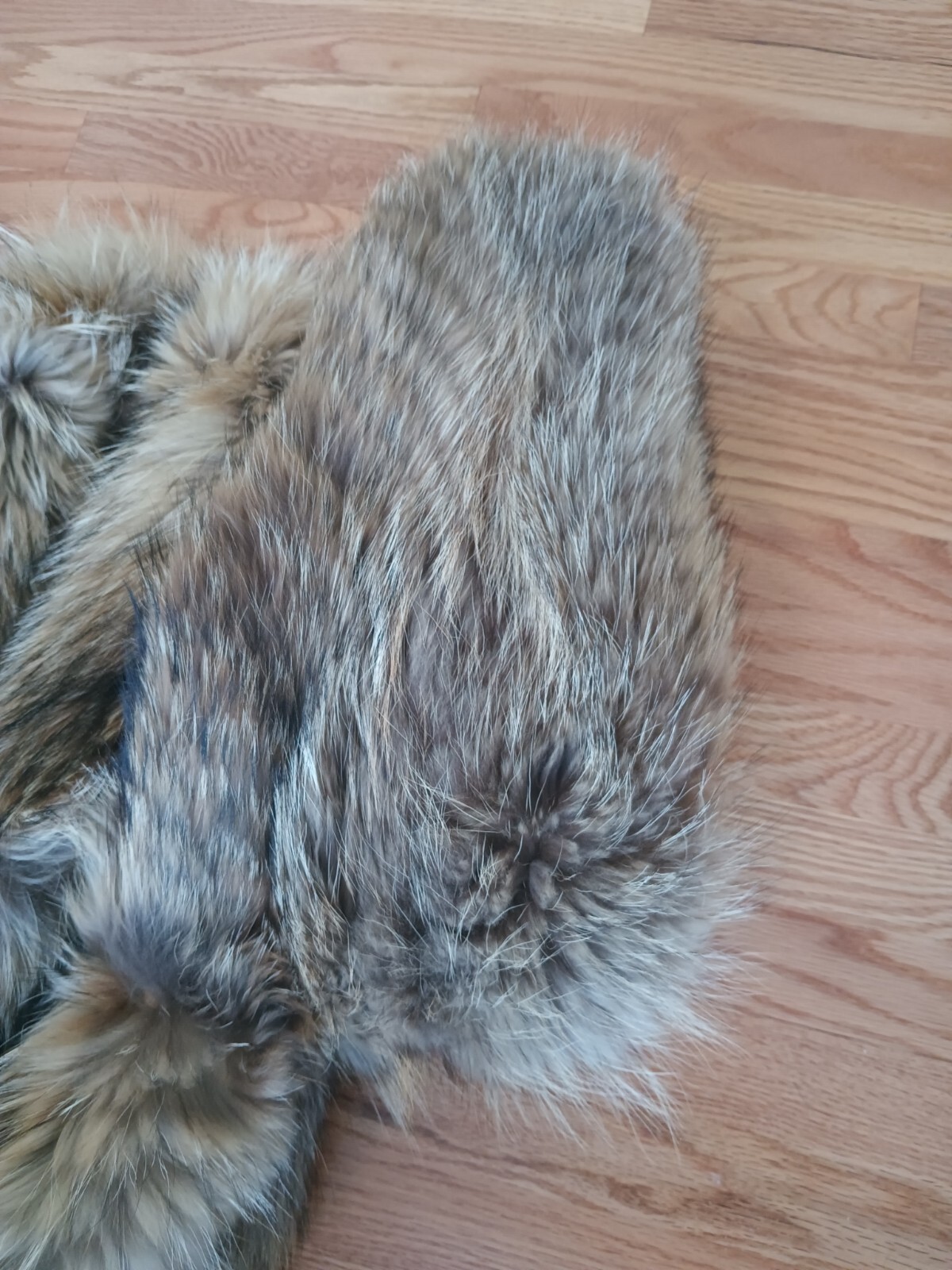 ADOLFO Bold Beauty Collared Feathered Finnish Raccoon Fur Coat Full Length Plus