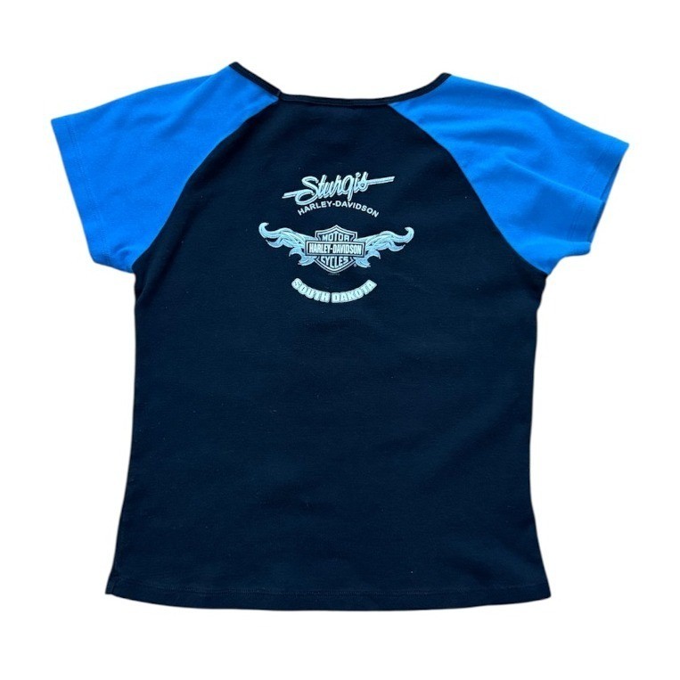 Vintage Y2K Harley Davidson Sturgis Dakota Biker Raglan V-Neck Glitter T-shirt