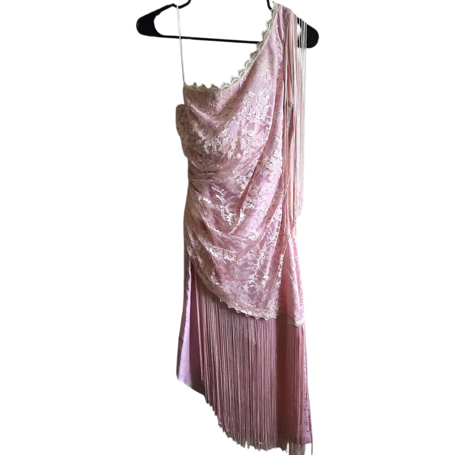 Vintage 1980s New Leaf by Samir Dusty Rose Lace & Fringe Dress