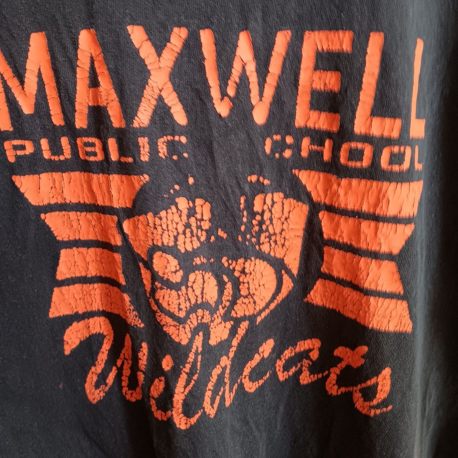 Vintage Small Town T-shirt Nebraska Maxwell Public School Wildcats Black Fade