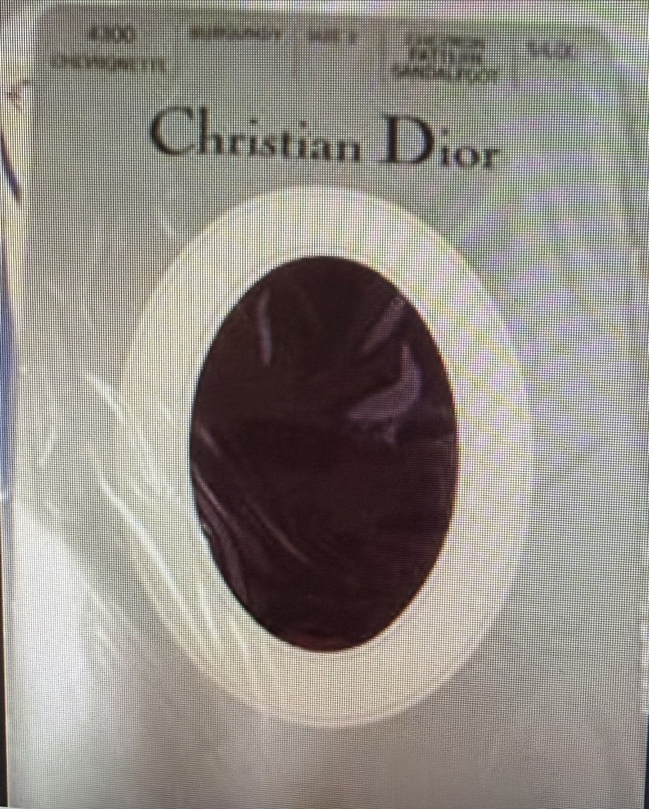 NEW Vintage Lot Of Nylons Pantyhose Knee Highs Hanes Christian Dior Women C D 3