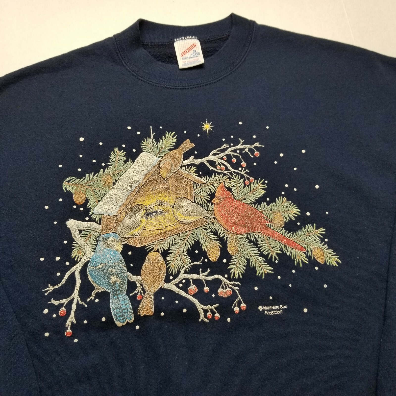 Vtg Morning Sun Winter Birdhouse Sweatshirt Womens XL Snow Jerzees USA 90s T44