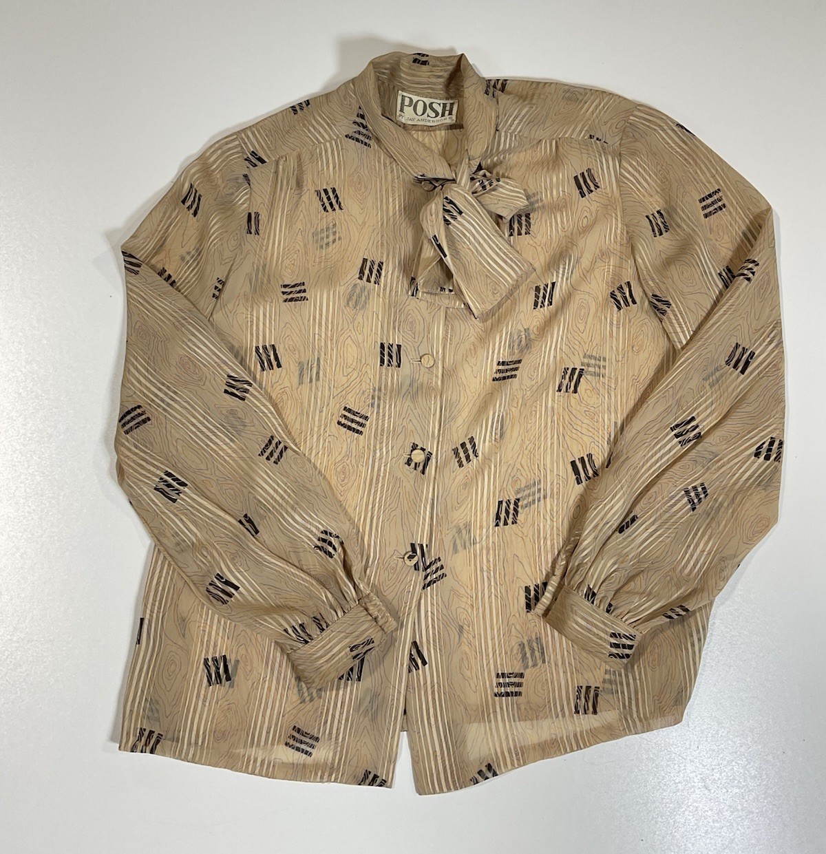 Vintage Posh by Jay Anderson Sheer Button Up Blouse Sz M/L Office Core 70s 80s
